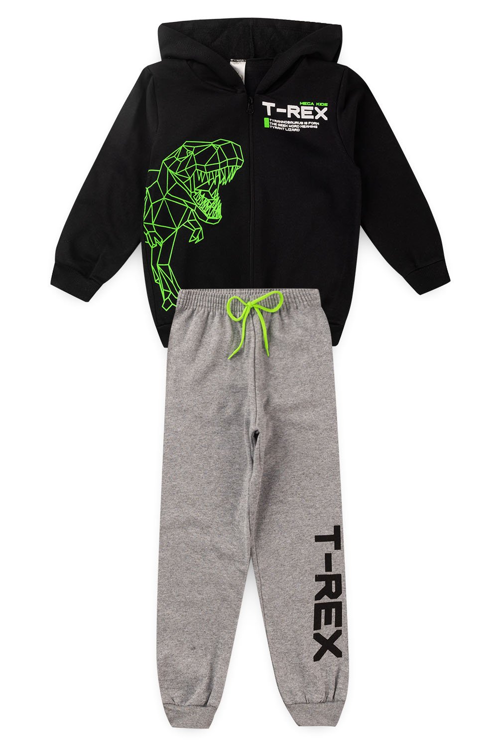 Conjunto Moletom Peluciado Infantil Masculino T - Rex - Preto