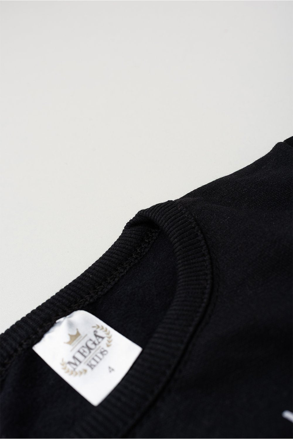 Conjunto Moletom Peluciado Infantil Masculino Steel Saurus - Preto