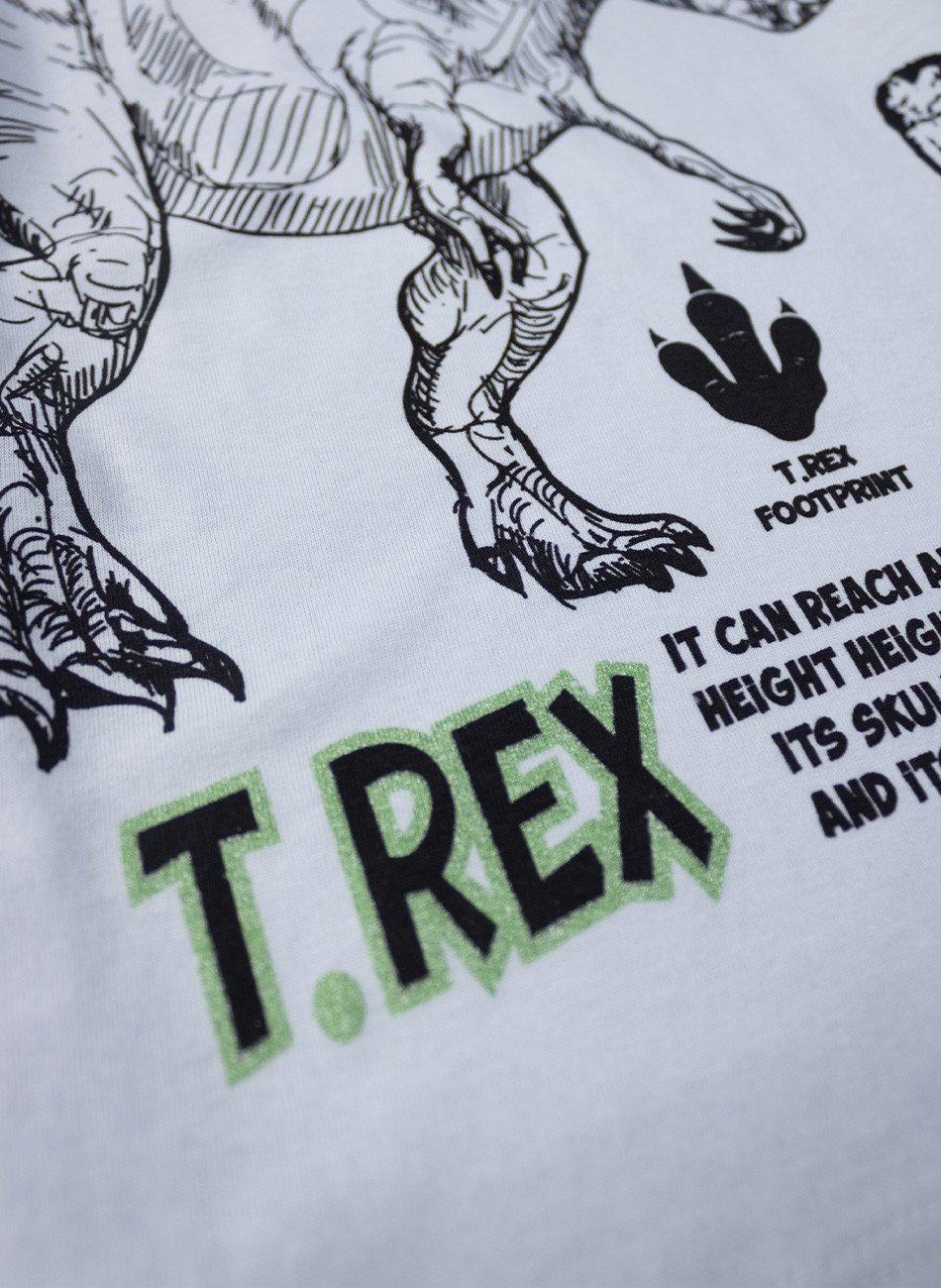 Conjunto Infantil Masculino T-Rex Branco 015 - Torrox