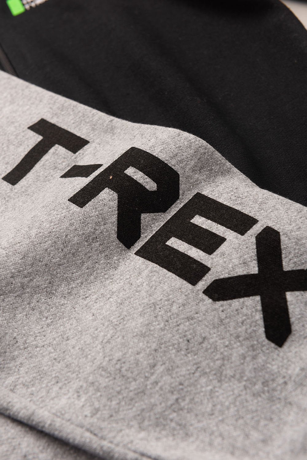 Conjunto Moletom Peluciado Infantil Masculino T - Rex - Preto