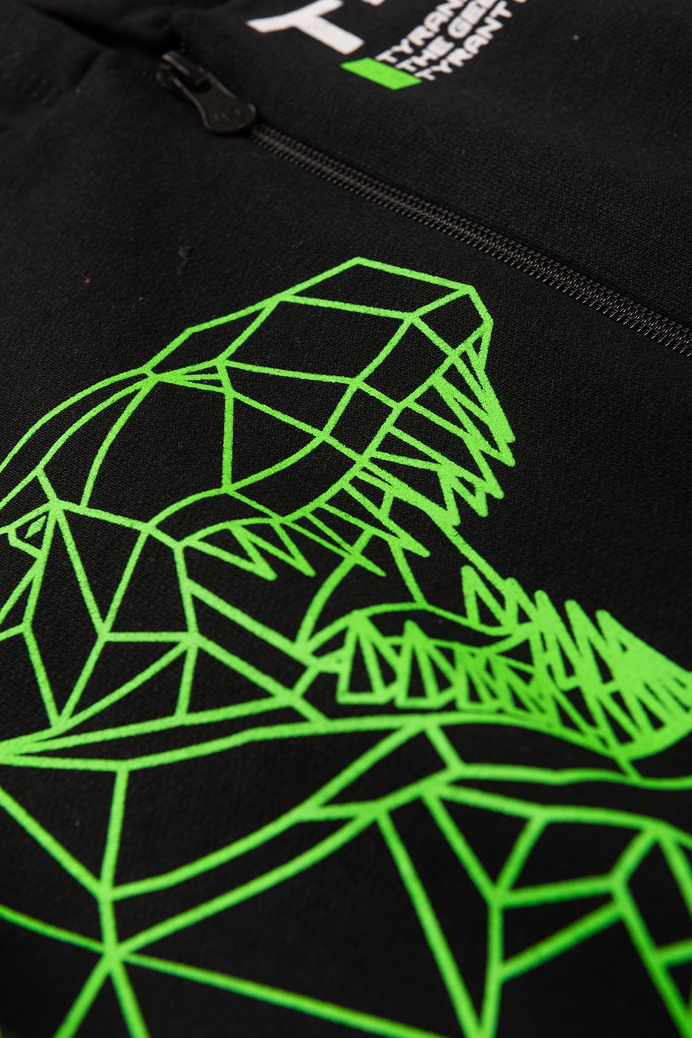 Conjunto Moletom Peluciado Infantil Masculino T - Rex - Preto