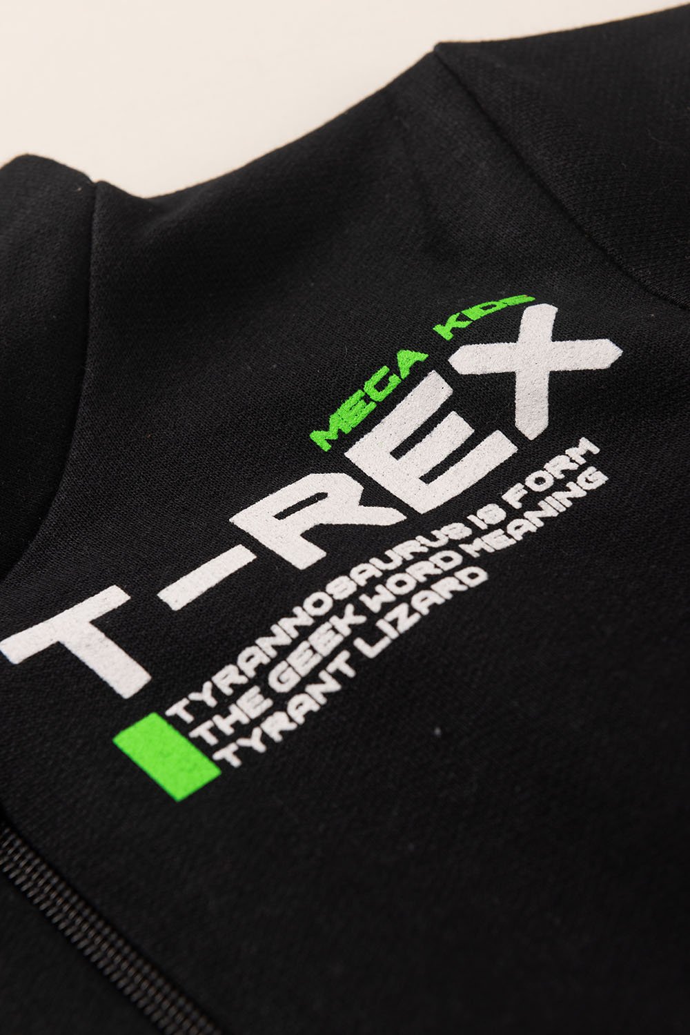 Conjunto Moletom Peluciado Infantil Masculino T - Rex - Preto