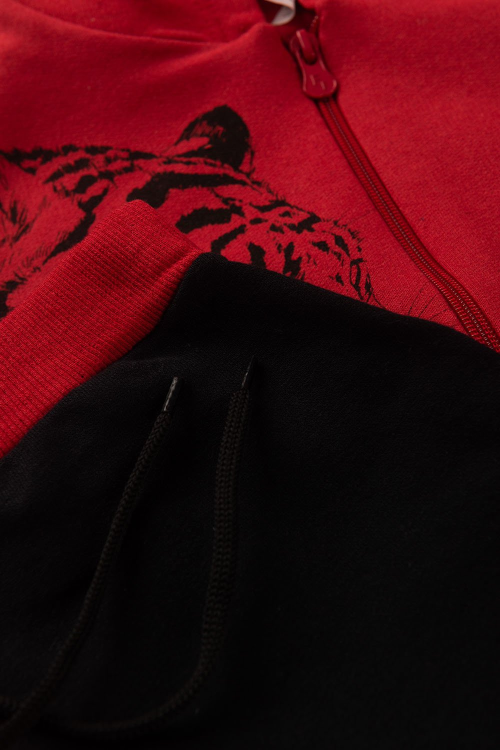 Conjunto Moletom Peluciado Infantil Masculino Tigre - Vermelho