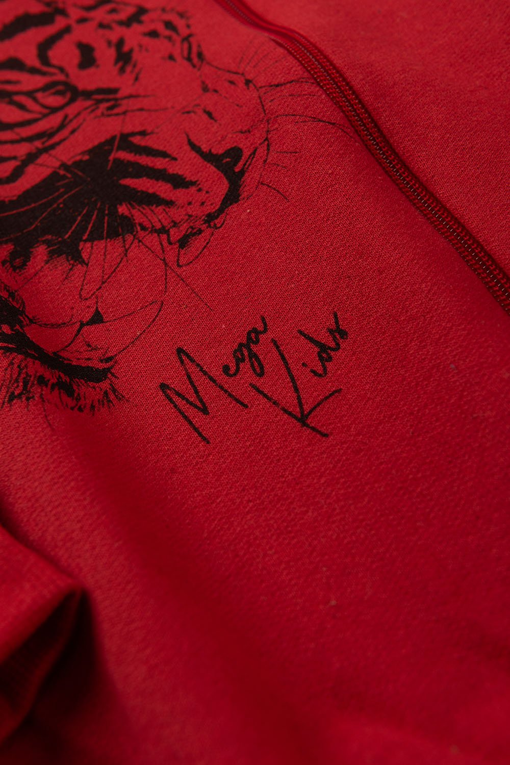 Conjunto Moletom Peluciado Infantil Masculino Tigre - Vermelho