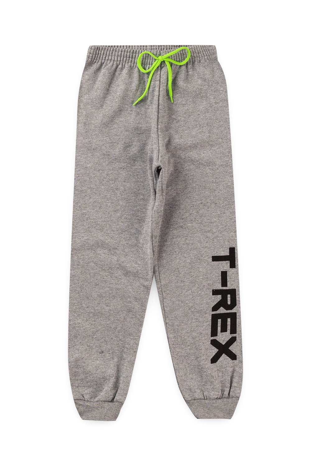 Conjunto Moletom Peluciado Infantil Masculino T - Rex - Preto