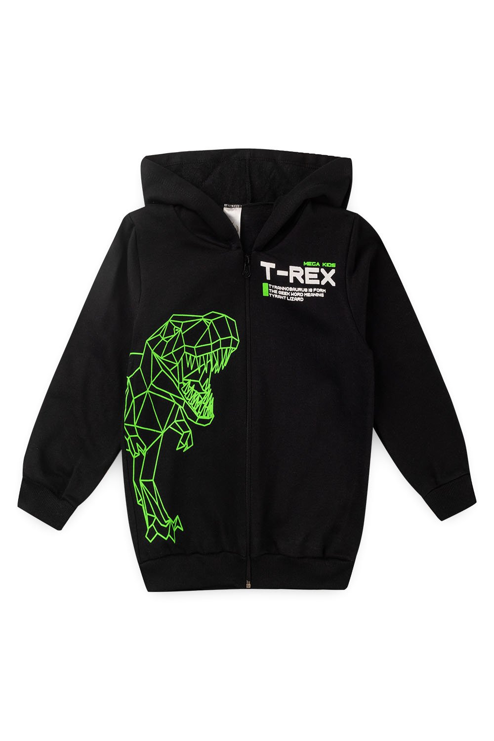 Conjunto Moletom Peluciado Infantil Masculino T - Rex - Preto