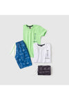 Conjunto Infantil Menino Algodão Premium Hang Loose Kangulu Terra