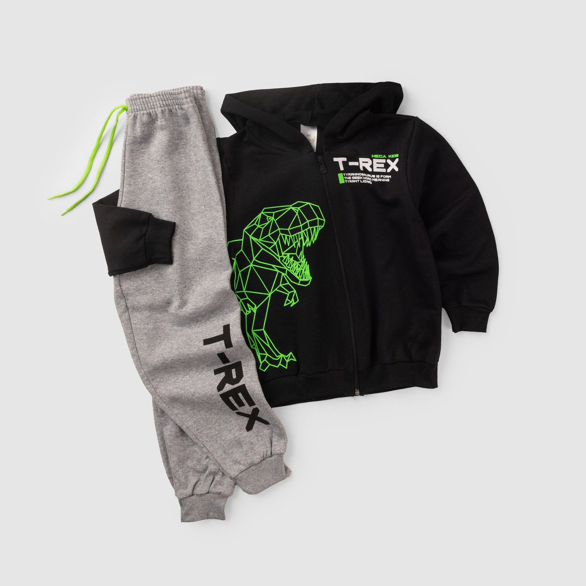 Conjunto Moletom Peluciado Infantil Masculino T - Rex - Preto
